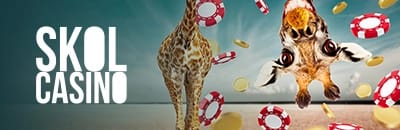 Skol Casino ie